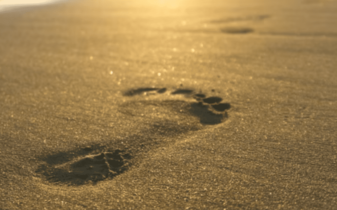 College of Healing Values: the autonomy of the individual to tread their own path