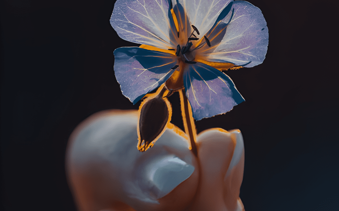 College of Healing Values: healing for the planet and all its life forms